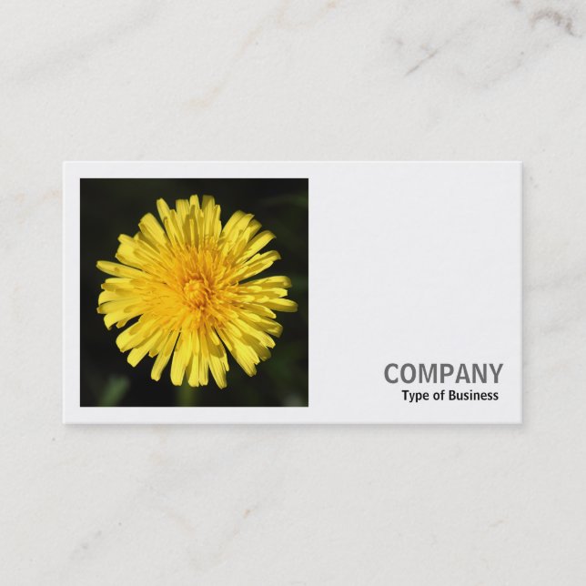 Square Photo (v2) - Dandelion Business Card (Front)