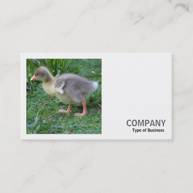 Square Photo (v2) - Gosling Business Card (Front)