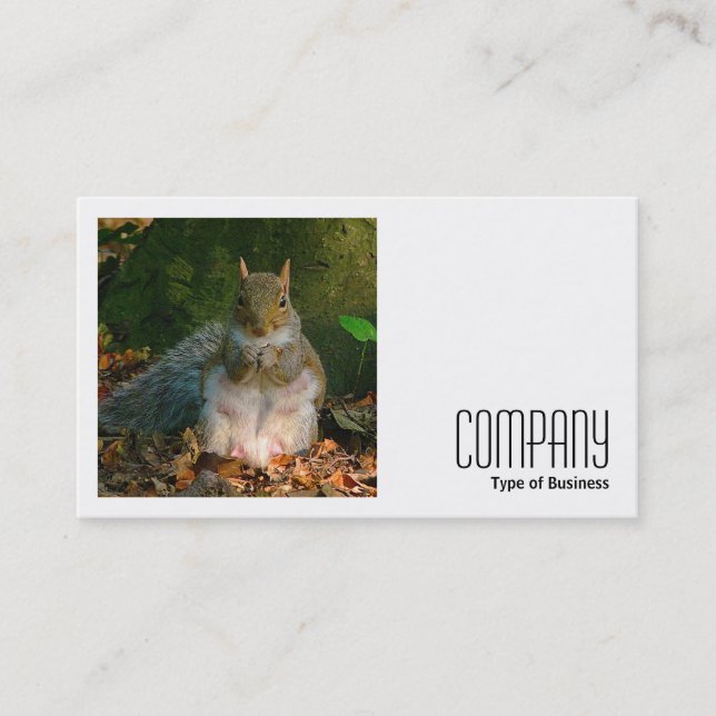 Square Photo (v2) - Grey Squirrel Business Card (Front)