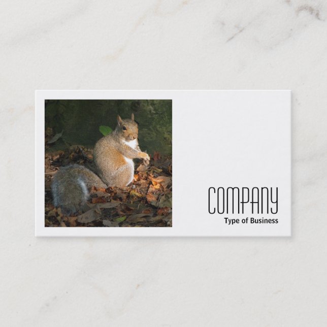 Square Photo (v2) - Grey Squirrel Business Card (Front)