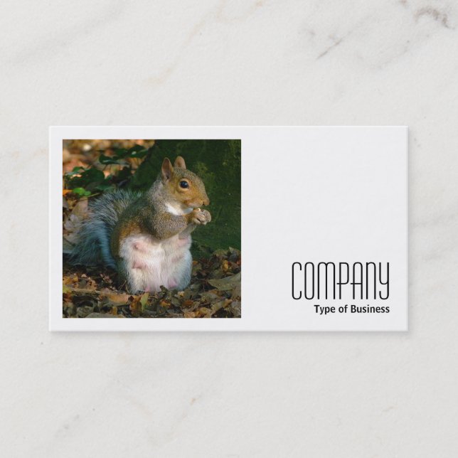 Square Photo (v2) - Grey Squirrel Business Card (Front)