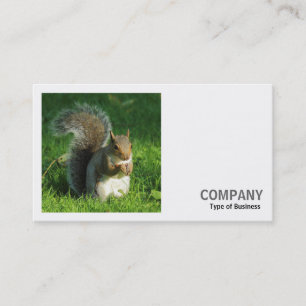 Square Photo (v2) - Grey Squirrel Eating Nuts Business Card