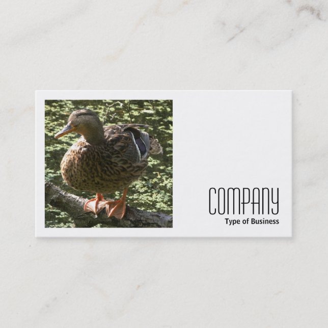 Square Photo (v2) - Happy Duck Business Card (Front)