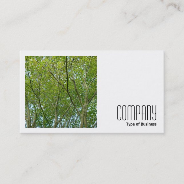 Square Photo (v2) - Japanese Maple Business Card (Front)