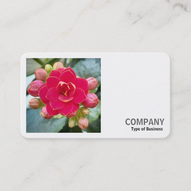 Square Photo (v2) - Kananchoe Business Card (Front)