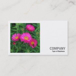 Square Photo (v2) - Michaelmas Daisies 02 Business Card