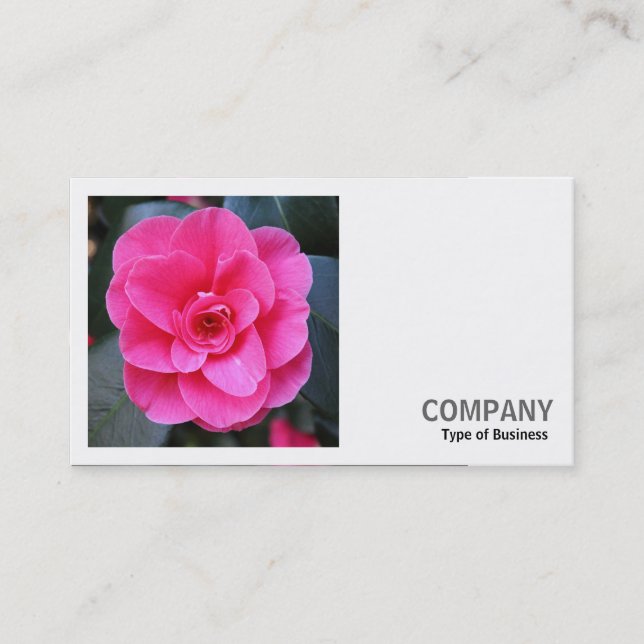 Square Photo (v2) - Pink Camellia Business Card (Front)