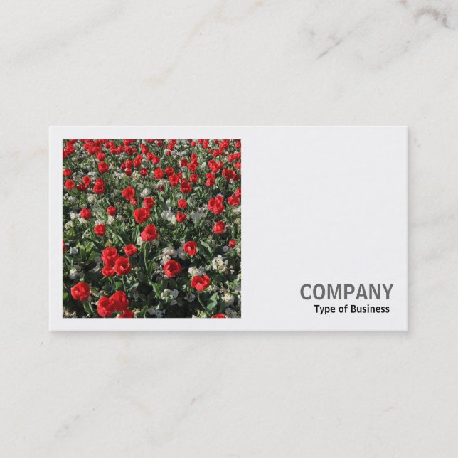 Square Photo (v2) - Red Tulips and Primroses Business Card (Front)