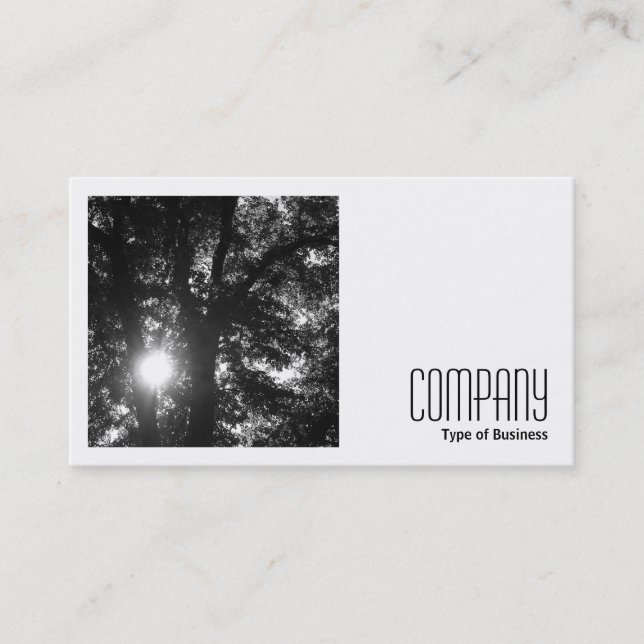 Square Photo (v2) - Sun Through Trees B&W Business Card (Front)