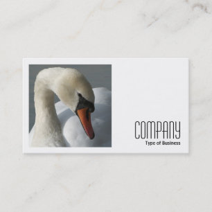 Square Photo (v2) - Swan Business Card