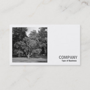 Square Photo (v2) - Trees, Bute Park, Cardiff Business Card