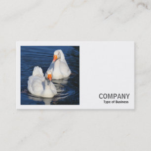 Square Photo (v2) - Two Emden Geese Business Card