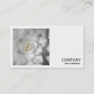 Square Photo (v2) - White Camellia Business Card