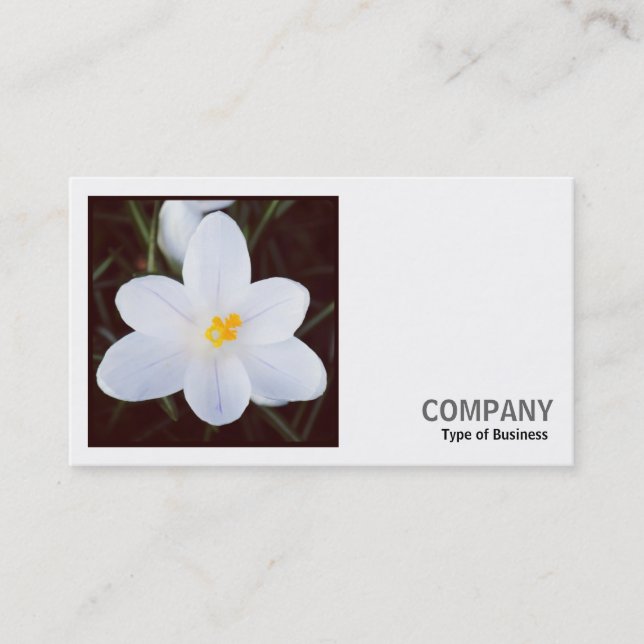 Square Photo (v2) - White Crocus Business Card (Front)