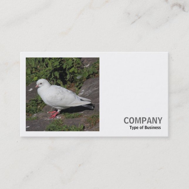 Square Photo (v2) - White Pigeon Business Card (Front)