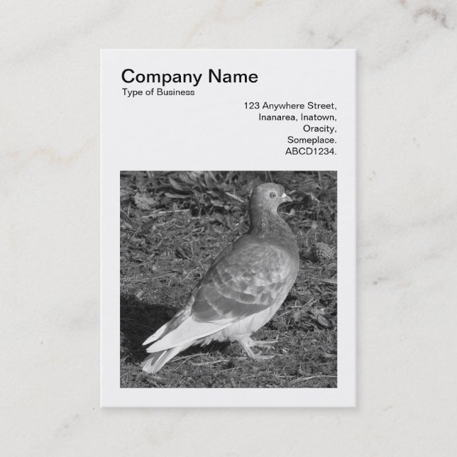 Square Photo (v3) - Pigeon BW Business Card (Front)