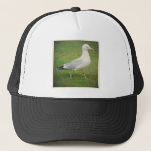 Square Photo - Walking Seagull Trucker Hat