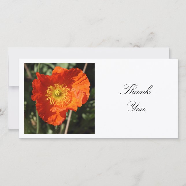 Square Photo - Welsh Poppy Thank You Card (Front)