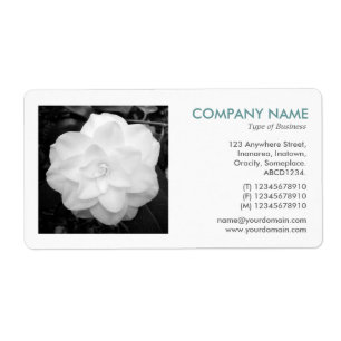 Square Photo - White Camelia