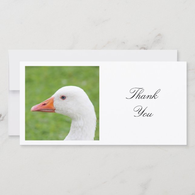 Square Photo - White Goose Thank You Card (Front)