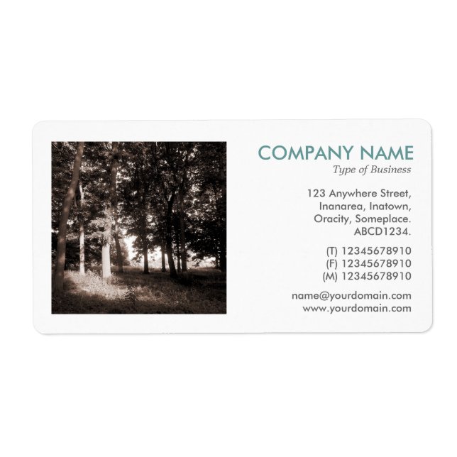 Square Photo - Woods in the Park (Front)