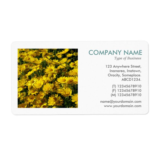 Square Photo - Yellow Daisies (Front)