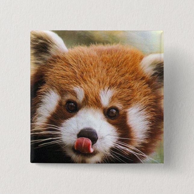 Square Red Panda Button (Front)