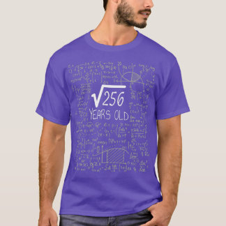 Square Root of 256 16 Years Old 16th Birthday T-Shirt