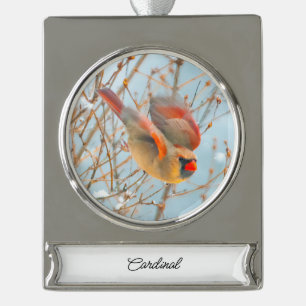 square silver plated banner ornament