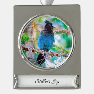 square silver plated banner ornament