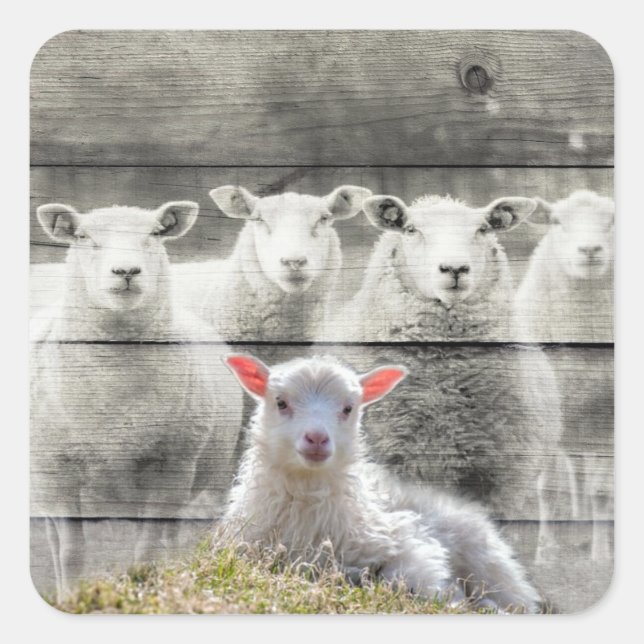 Square Stickers (Front)