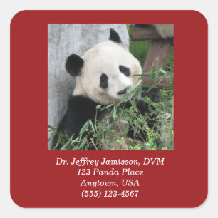 Square Stickers, Giant Pandas, Veterinarian Square Sticker
