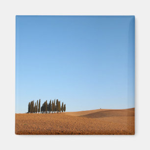 Square Tuscany landscape with cypress trees magnet