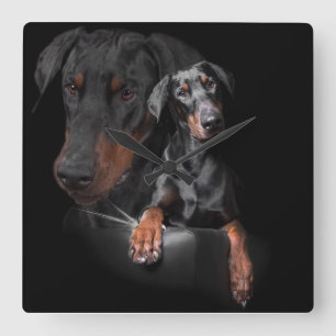 Square Wall Clock Dobermann