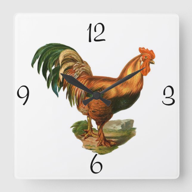 Square Wall Clock/Rooster Clock (Front)