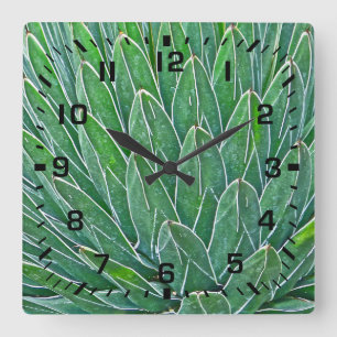 SQUARE WALL CLOCK WITH AGAVE PLANT
