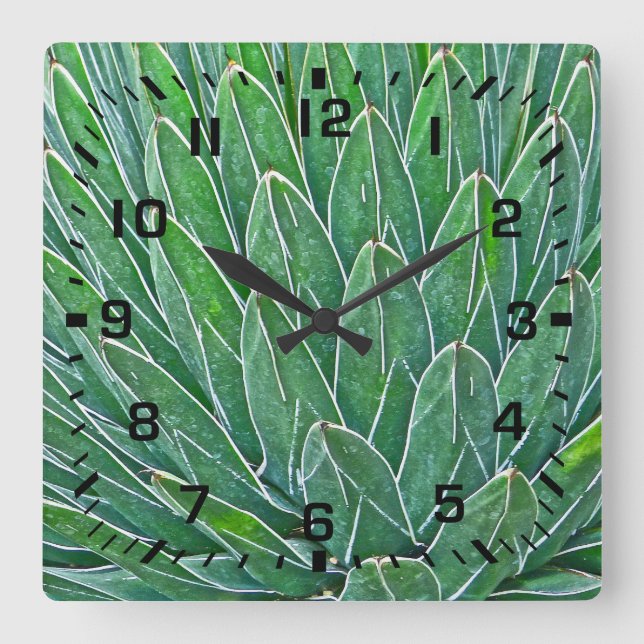 SQUARE WALL CLOCK WITH AGAVE PLANT (Front)