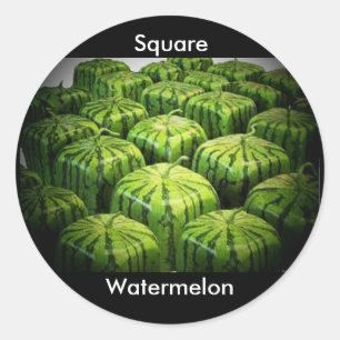 Square Watermelon Classic Round Sticker