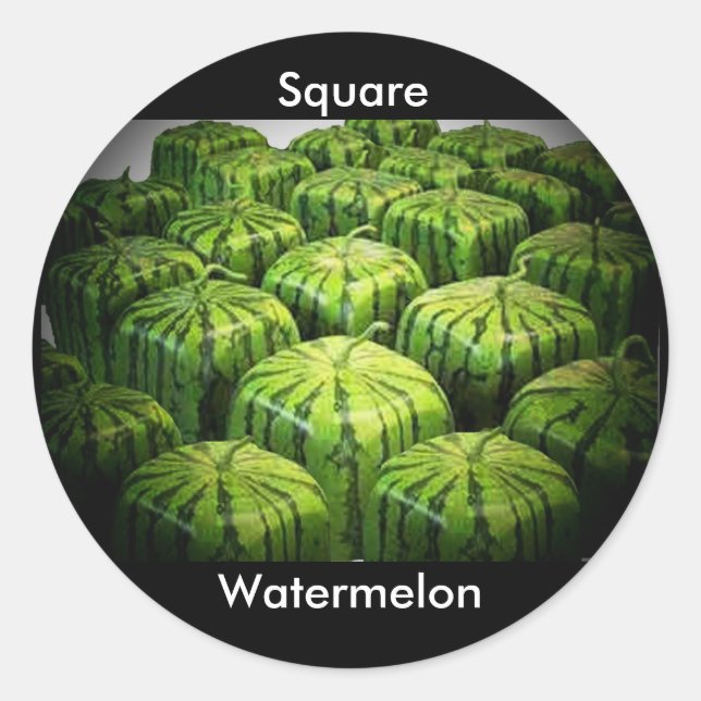 Square Watermelon Classic Round Sticker (Front)