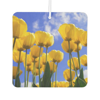Square Yellow Tulips Air Freshener