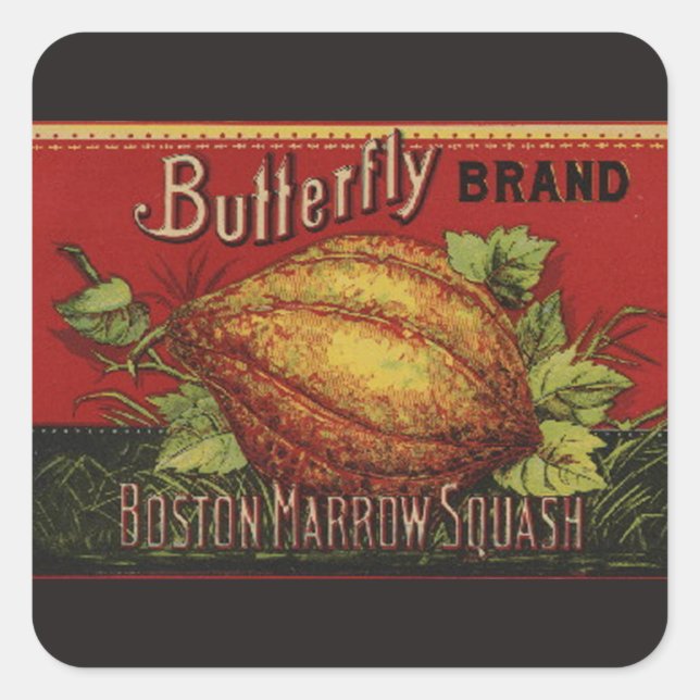 Squash Antique Vegetable Label Can (Front)