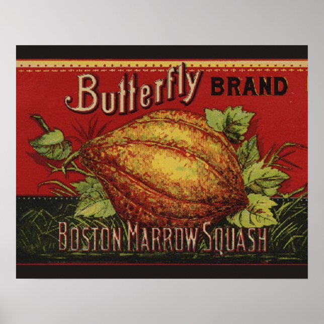 Squash Antique Vegetable Label Can Poster (Front)