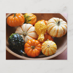 Squash Bowl Postcard