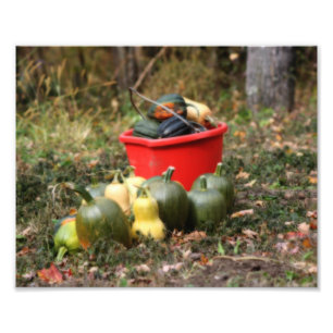 Squash Country Garden Harvest Orton Art 8x10 Photo Print