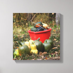 Squash Country Garden Harvest Orton   Canvas Print