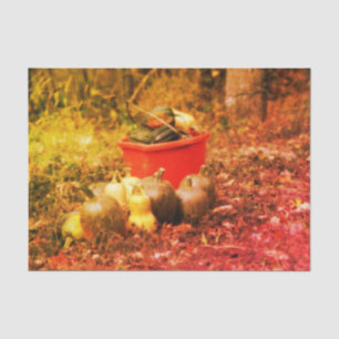 Squash Country Garden Harvest Vintage Decoupage Tissue Paper