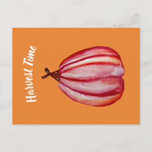 Squash, Fall Art Postcard
