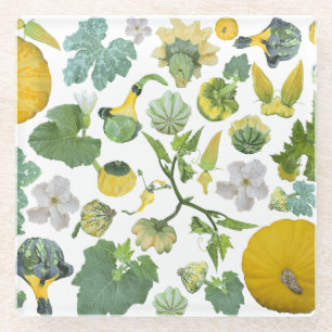 Squash Garden Glass Coaster
