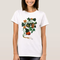 Squash Vine 1