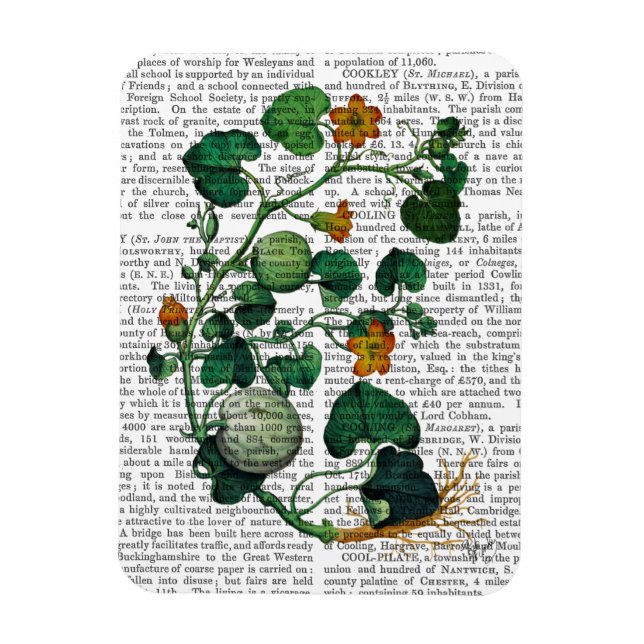 Squash Vine 2 Magnet (Vertical)